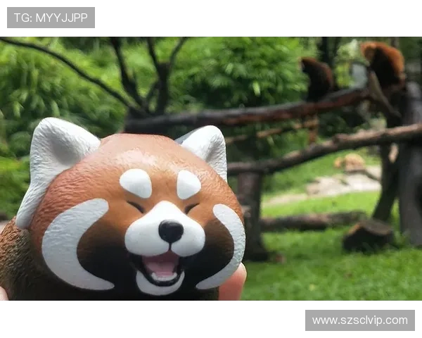 娌欑壒璞棬杩介€愮航鍗′腑鍦轰箶鏋楅】锛佺画绾﹁嚦 2028 骞翠粛閬埄闆呭緱鏂版湀閲嶉噾姹傝喘 娌欑壒璞棬杩介€愮航鍗′腑鍦轰箶鏋楅】锛佺画绾﹁嚦 2028 骞翠粛閬埄闆呭緱鏂版湀閲嶉噾姹傝喘